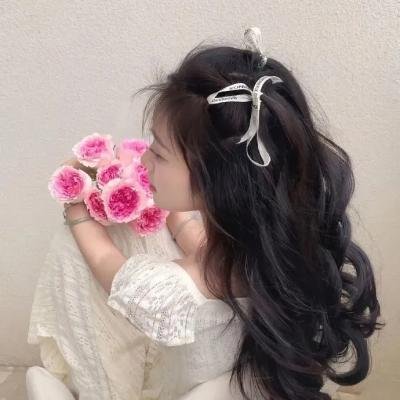 导尽我梦想:李察连利加