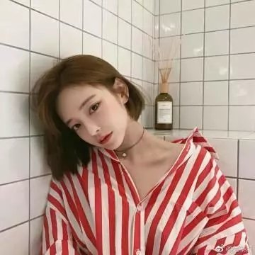 蝴蝶粤语